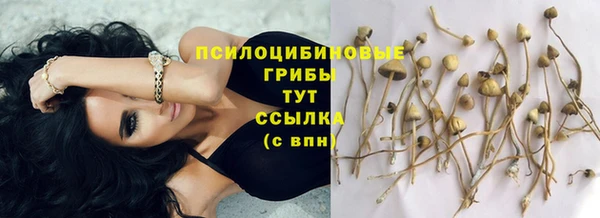 apvp Белоозёрский