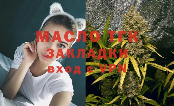 ECSTASY Белокуриха