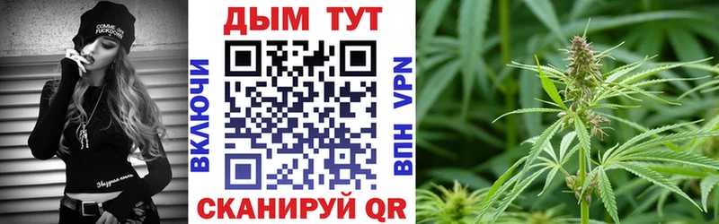 МАРИХУАНА Amnesia  Кондопога 